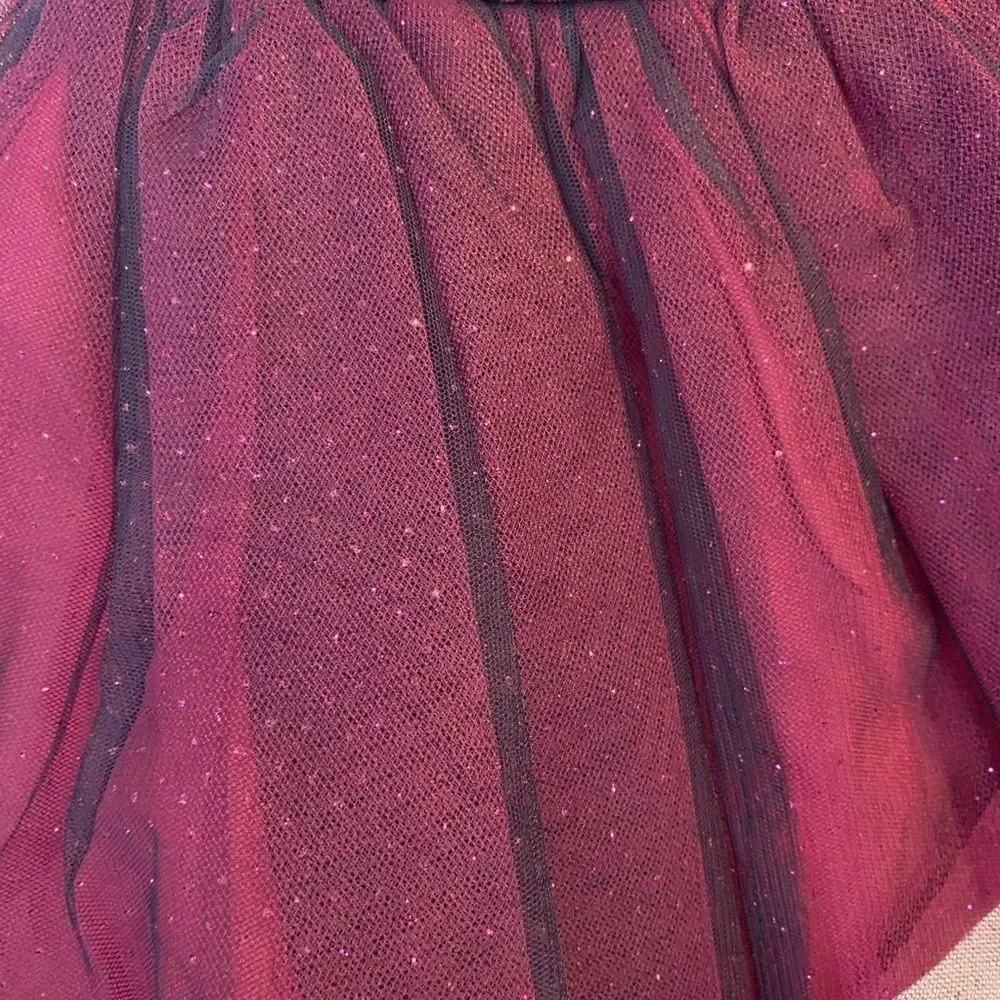Sweet Heart Rose Girls Party Dress NWT